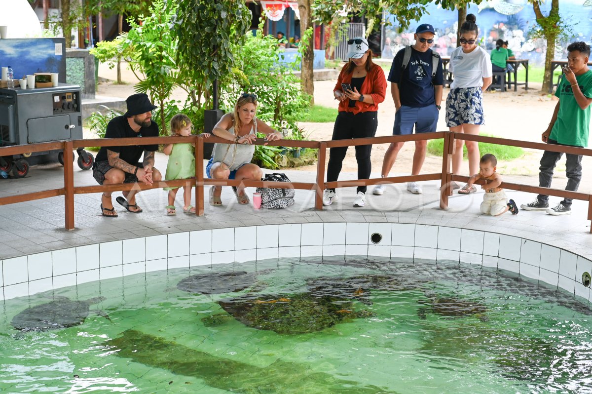 Misteri Air Terjun Tersembunyi di Cilacap: Rahasia Solo Traveler yang Tak Terungkap